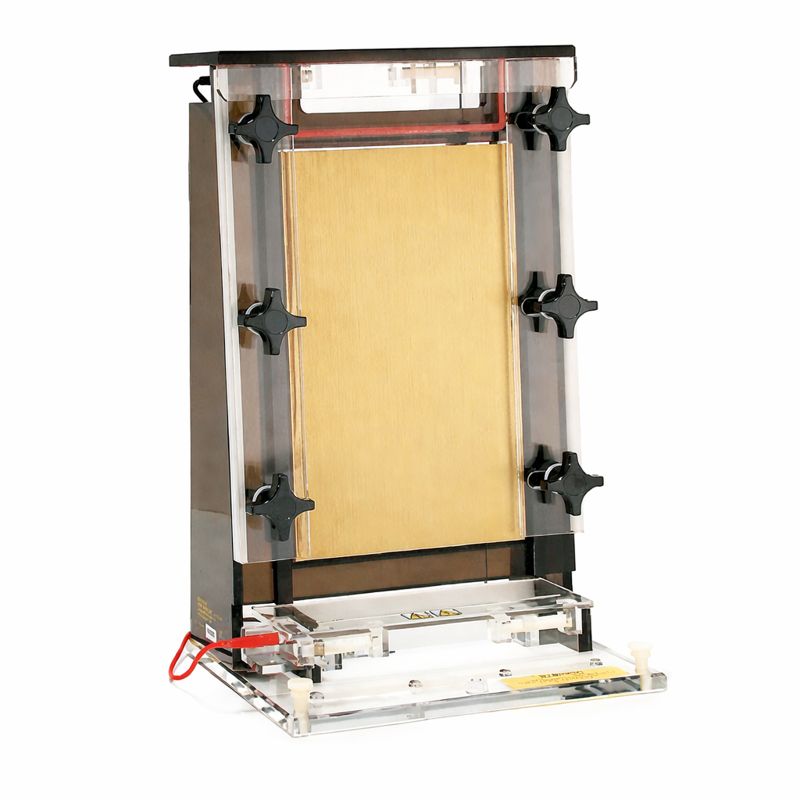 ESPACIADOR DE SECUENCIAMIENTO 65CM THERMO FISHER SCIENTIFIC